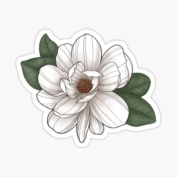 Vintage Flora, Magnolia, Contour, outdoor vinyl stickers – Lantern