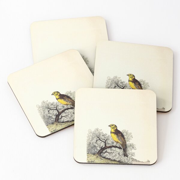 Item preview, British ornithology  being the history with a coloured representation of every known species of British birds George Graves 1821 067 designed and sold by WetdryvacRB01.