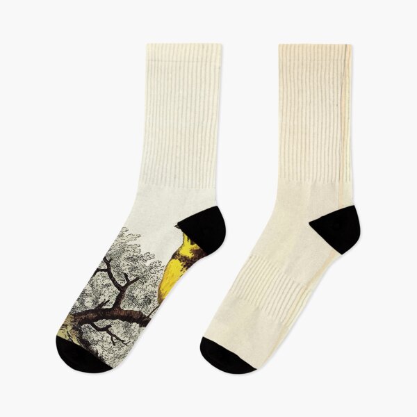 Item preview, British ornithology  being the history with a coloured representation of every known species of British birds George Graves 1821 067 designed and sold by WetdryvacRB01.