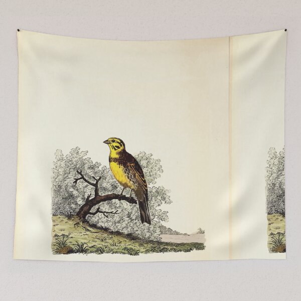 Item preview, British ornithology  being the history with a coloured representation of every known species of British birds George Graves 1821 067 designed and sold by WetdryvacRB01.