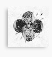 La Dispute Print Canvas Print