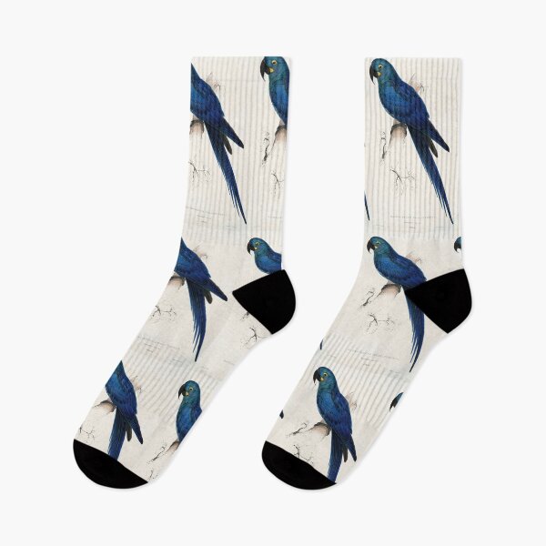 Item preview, Lear’s Macaw by Edward Lear designed and sold by Amanda1775.