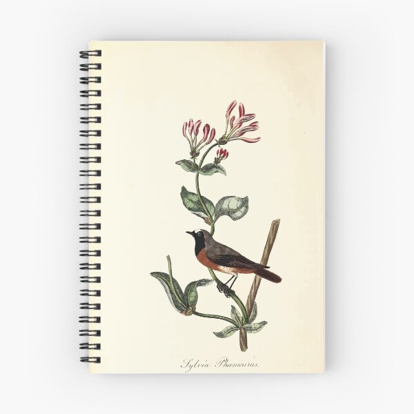Item preview, British ornithology  being the history with a coloured representation of every known species of British birds George Graves 1821 069 designed and sold by WetdryvacRB01.