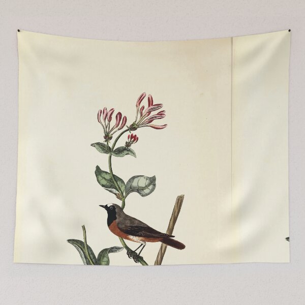 Item preview, British ornithology  being the history with a coloured representation of every known species of British birds George Graves 1821 069 designed and sold by WetdryvacRB01.