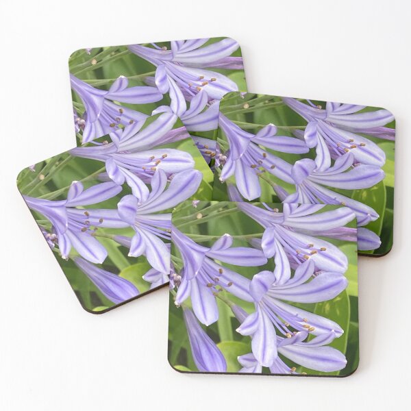 Item preview, African Lilies designed and sold by Taranodongirl7.