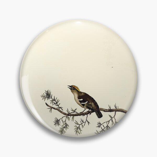 Item preview, British ornithology  being the history with a coloured representation of every known species of British birds George Graves 1821 070 designed and sold by WetdryvacRB01.