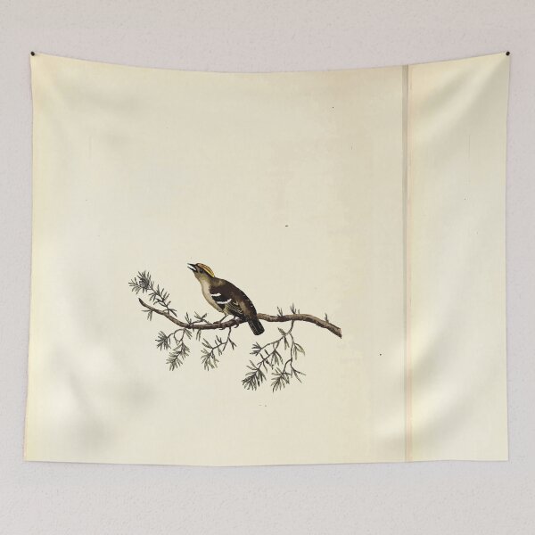 Item preview, British ornithology  being the history with a coloured representation of every known species of British birds George Graves 1821 070 designed and sold by WetdryvacRB01.