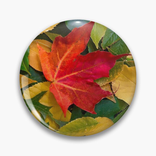 Item preview, Autumn Leaves Changing Color Collage  designed and sold by navitaelwell.