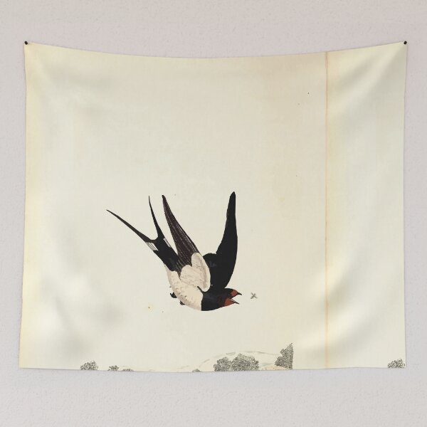 Item preview, British ornithology  being the history with a coloured representation of every known species of British birds George Graves 1821 072 designed and sold by WetdryvacRB01.