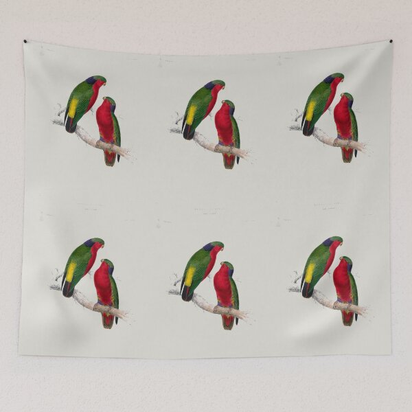 Item preview, Kuhl's Parakeets by Edward Lear designed and sold by Amanda1775.