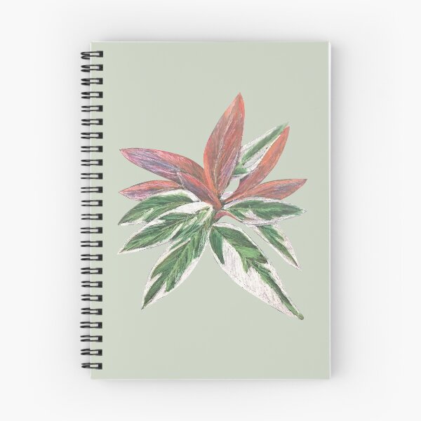 Item preview, Calathea Triostar Stromanthe Plant With Green Background - Pink, Rust, Blush, Magenta designed and sold by Marina Oliveira Studio.