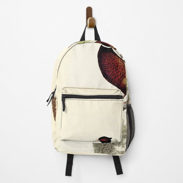 Item preview, British ornithology being the history with a coloured representation of every known species of British birds George Graves 1821 073 designed and sold by WetdryvacRB01.