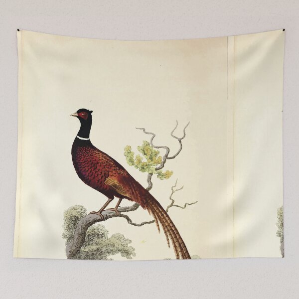 Item preview, British ornithology  being the history with a coloured representation of every known species of British birds George Graves 1821 073 designed and sold by WetdryvacRB01.