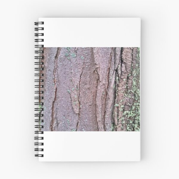 Aperçu de l'œuvre tree bark créée et vendue par gatheringwonder.