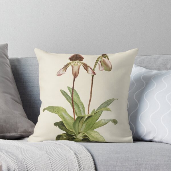 Item preview, Reichenbachia: Orchids Illustrated and Described designed and sold by EsotericBotanic.