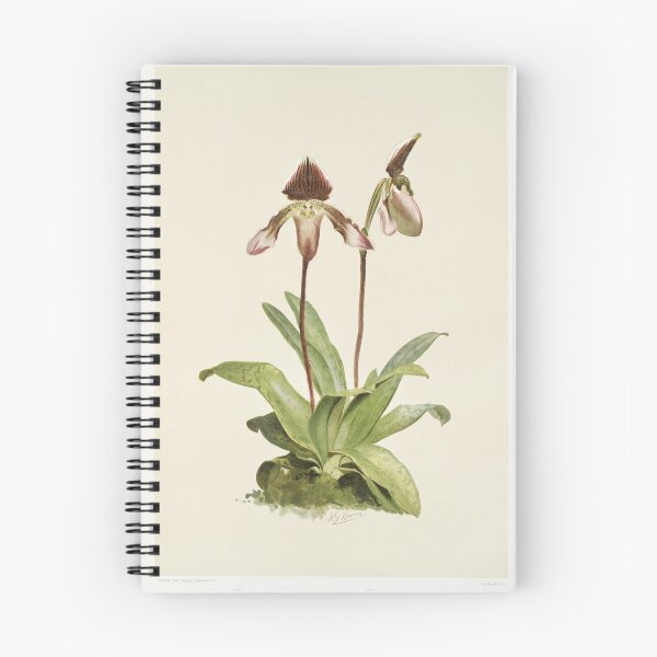 Item preview, Reichenbachia: Orchids Illustrated and Described designed and sold by EsotericBotanic.