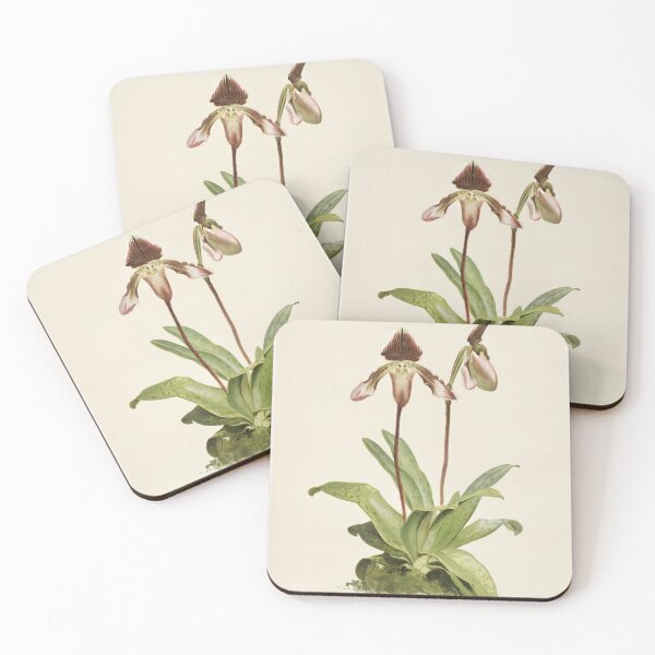 Item preview, Reichenbachia: Orchids Illustrated and Described designed and sold by EsotericBotanic.