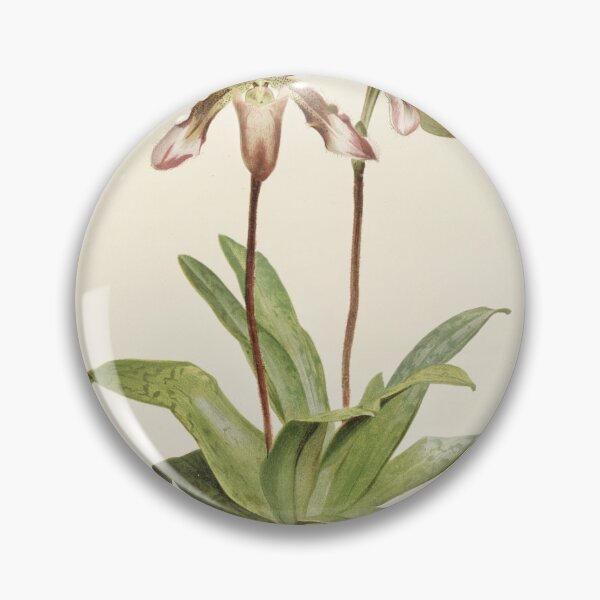 Item preview, Reichenbachia: Orchids Illustrated and Described designed and sold by EsotericBotanic.