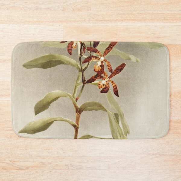 Item preview, Reichenbachia: Orchids Illustrated and Described designed and sold by EsotericBotanic.
