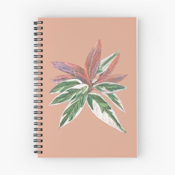 Item preview, Calathea Triostar Stromanthe Plant With Terracotta Background - Green, Rust, Blush, Magenta designed and sold by Marina Oliveira Studio.