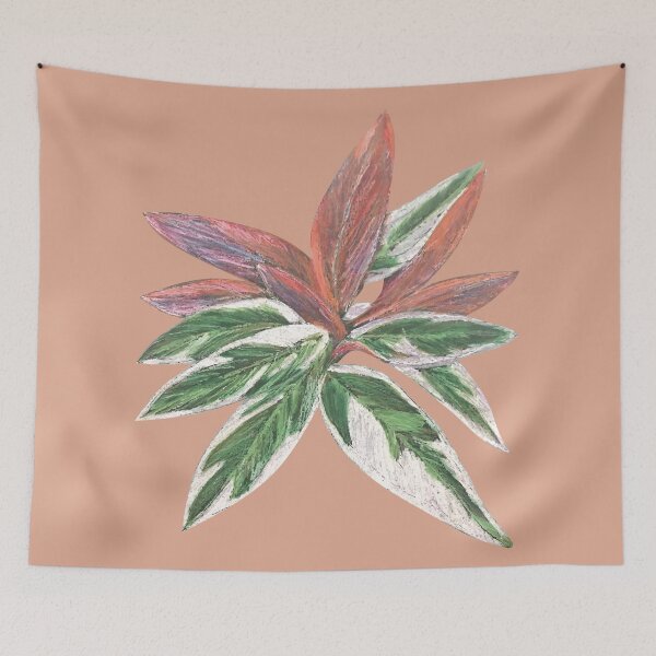 Item preview, Calathea Triostar Stromanthe Plant With Terracotta Background - Green, Rust, Blush, Magenta designed and sold by Marina Oliveira Studio.