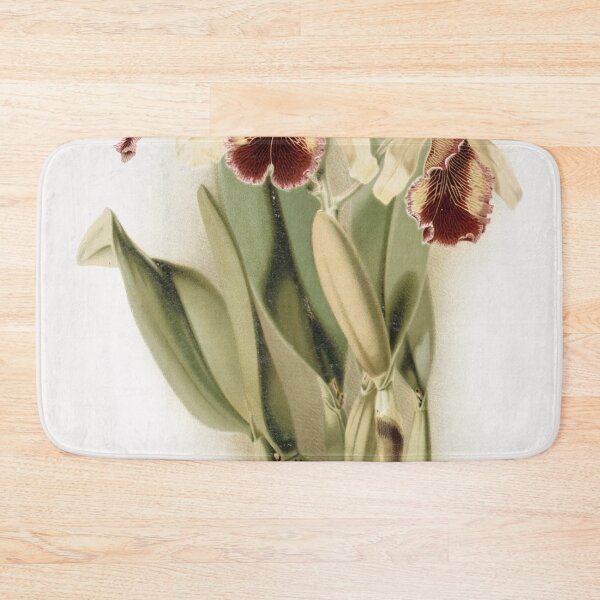 Item preview, Reichenbachia: Orchids Illustrated and Described designed and sold by EsotericBotanic.