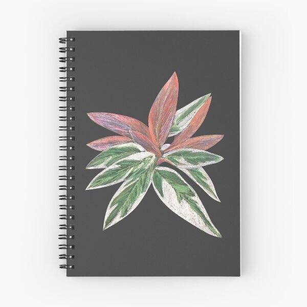Item preview, Calathea Triostar Stromanthe Plant With Dark Grey Background - Green, Rust, Blush, Magenta designed and sold by Marina Oliveira Studio.