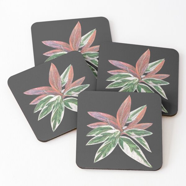 Item preview, Calathea Triostar Stromanthe Plant With Dark Grey Background - Green, Rust, Blush, Magenta designed and sold by Marina Oliveira Studio.