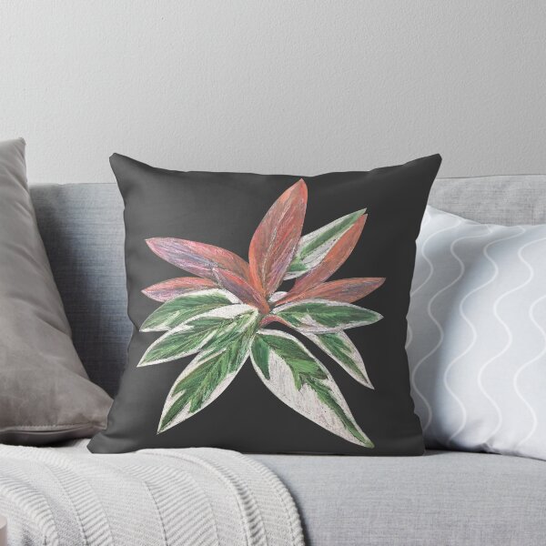 Item preview, Calathea Triostar Stromanthe Plant With Dark Grey Background - Green, Rust, Blush, Magenta designed and sold by Marina Oliveira Studio.