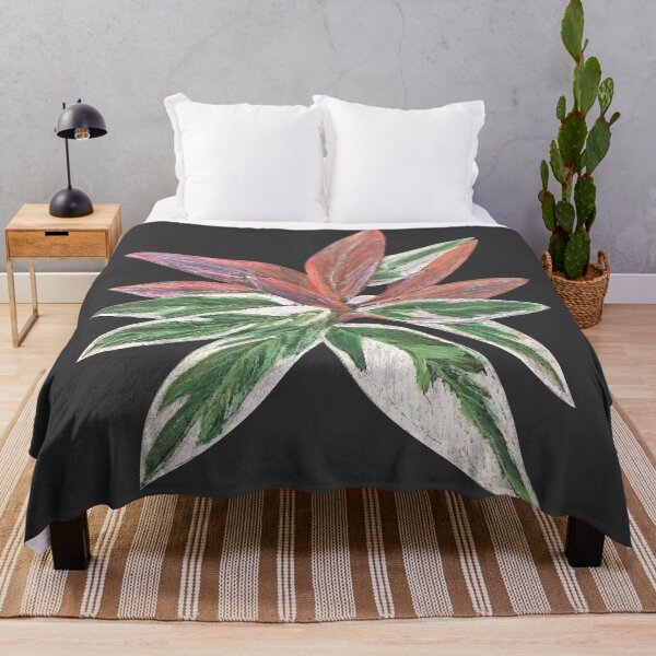 Item preview, Calathea Triostar Stromanthe Plant With Dark Grey Background - Green, Rust, Blush, Magenta designed and sold by Marina Oliveira Studio.