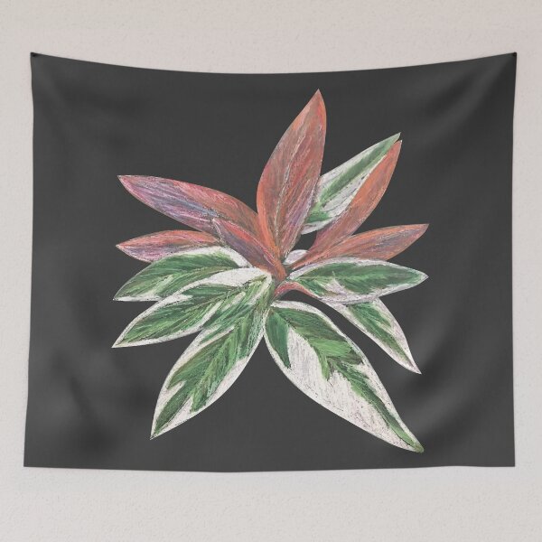 Item preview, Calathea Triostar Stromanthe Plant With Dark Grey Background - Green, Rust, Blush, Magenta designed and sold by Marina Oliveira Studio.
