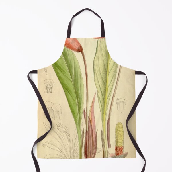 Item preview, Gamogyne pulchra 136 8330 designed and sold by EsotericBotanic.