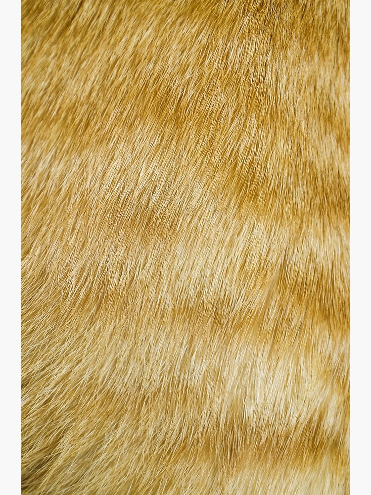 "Cat fur, The beautiful animal skin" Poster for Sale by ValogaStudio Redbubble