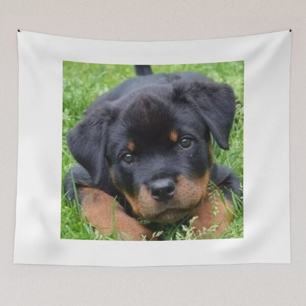 Item preview, Adorable pet black puppy designed and sold by Dalaprime.