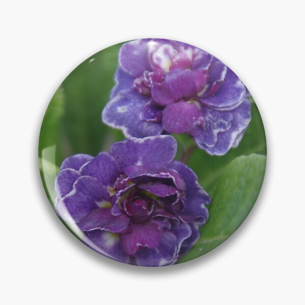 Item preview, Double Primrose Belarina Amethyst Ice designed and sold by lezvee.