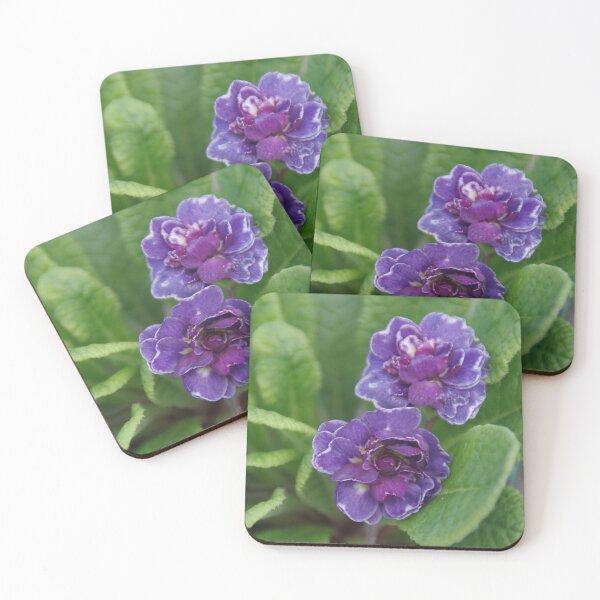 Item preview, Double Primrose Belarina Amethyst Ice designed and sold by lezvee.