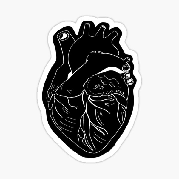 012item#) Anatomical Heart Sticker (medical, Doctor, Nurse, awesome) (4  sizes)