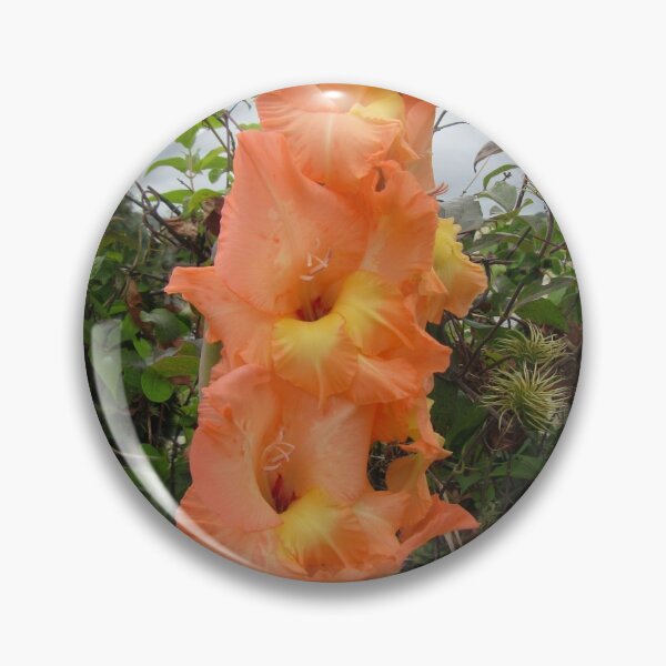 Item preview, Pretty Gladiolus designed and sold by lezvee.