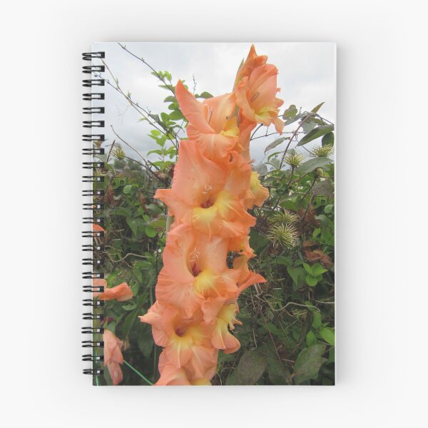 Item preview, Pretty Gladiolus designed and sold by lezvee.