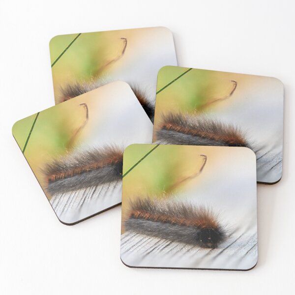 Item preview, All those little furry crawling creatures. Catepillars 1 designed and sold by Jouko Lehto Photography.