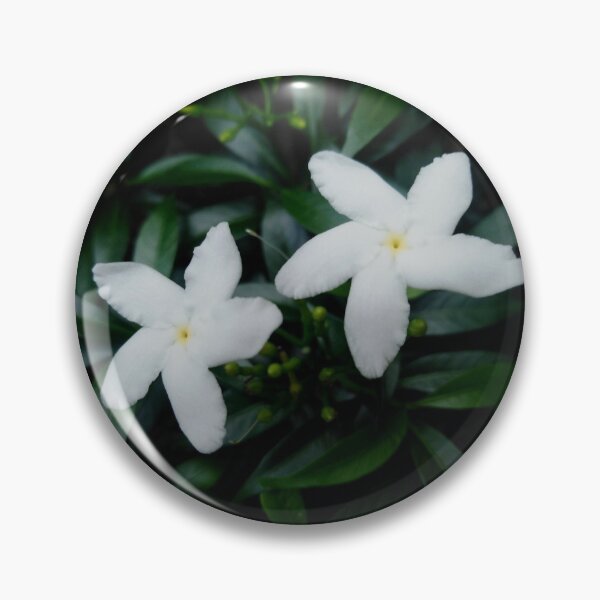 Item preview, Crepe Jasmine (Pinwheel Flower) Plant designed and sold by aaalou.