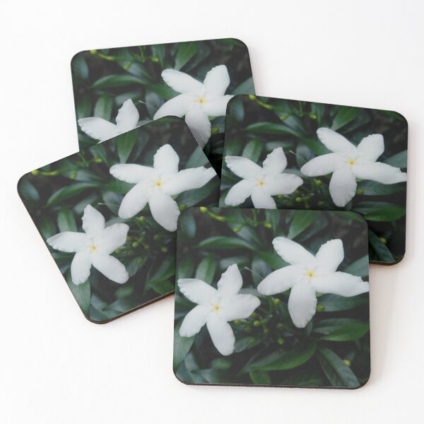 Item preview, Crepe Jasmine (Pinwheel Flower) Plant designed and sold by aaalou.