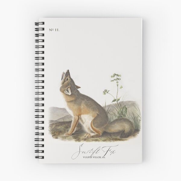 Item preview, Clever as a Fox: by J.J.Audubon 1844 designed and sold by ebrawne.