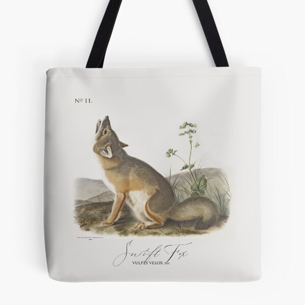 Item preview, Clever as a Fox: by J.J.Audubon 1844 designed and sold by ebrawne.