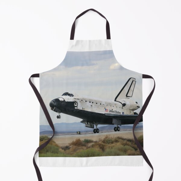 Aperçu de l'œuvre Atterrissage STS-128 créée et vendue par Star-Citizen.