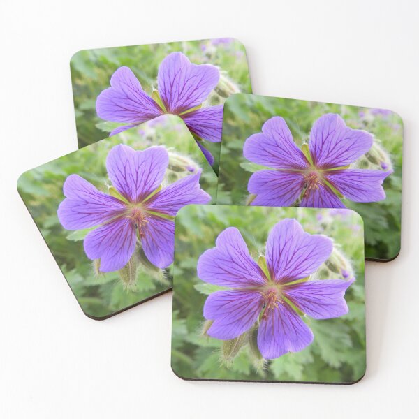 Item preview, Periwinkle designed and sold by TinequeW.
