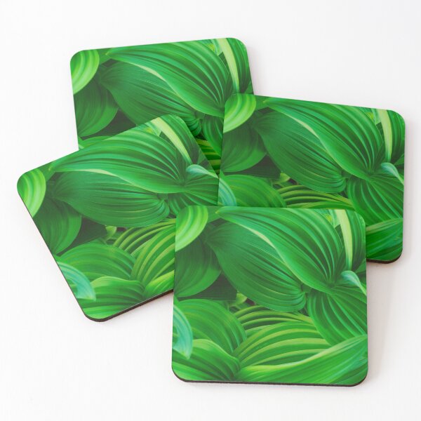 Item preview, Corn Lilies, Mount Baker National Forest, Washington, USA designed and sold by Tom  Mackie.