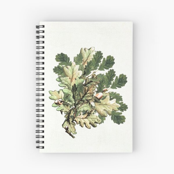 Oak leaf cluster with acorns Spiral Notebook