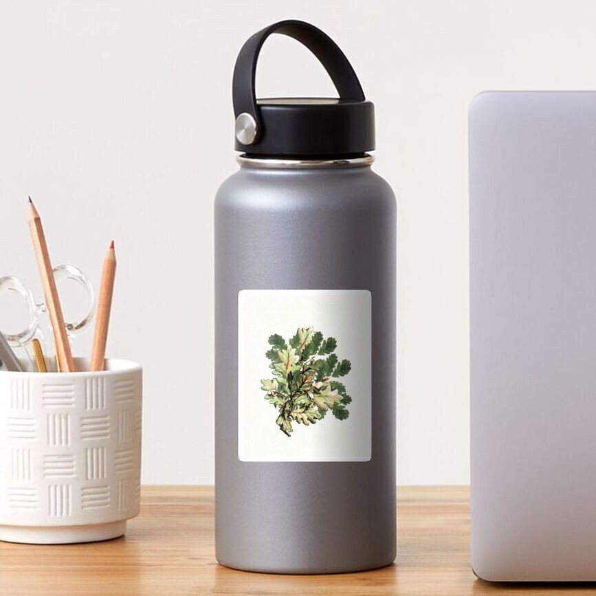 Oak leaf cluster with acorns Sticker