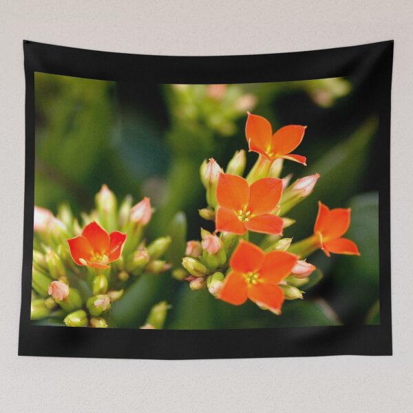 Item preview, Left Out designed and sold by absolutemagik.